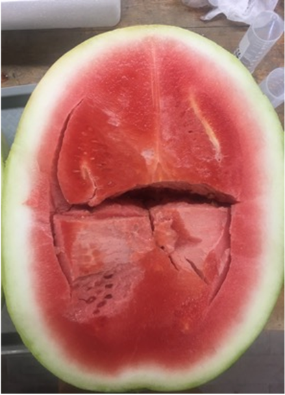 HollowHeart Watermelon